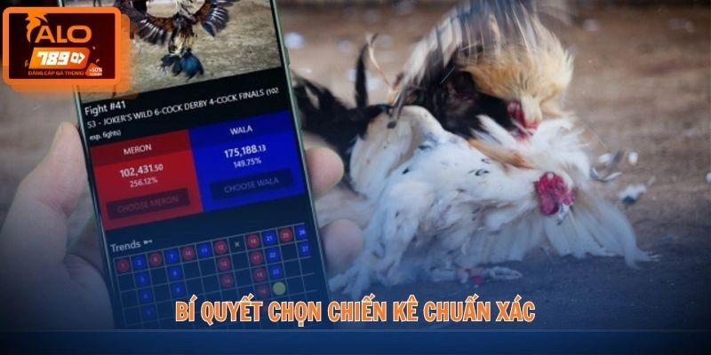 Đá gà ALO789 3 Bí quyết chọn chiến kê chuẩn xác