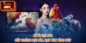 Đá Gà Cựa Dao - Đấu Trường Rực Lửa, Kịch Tính Từng Giây